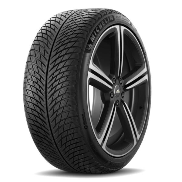 Neumático Michelin PILOT ALPIN 5 315/30R21 105V