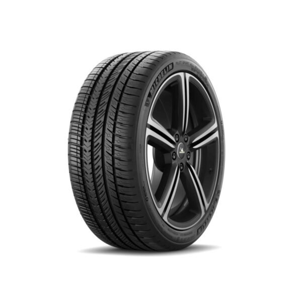 Neumático Michelin PILOT SPORT ALL SEASON 4 295/35R21 107V